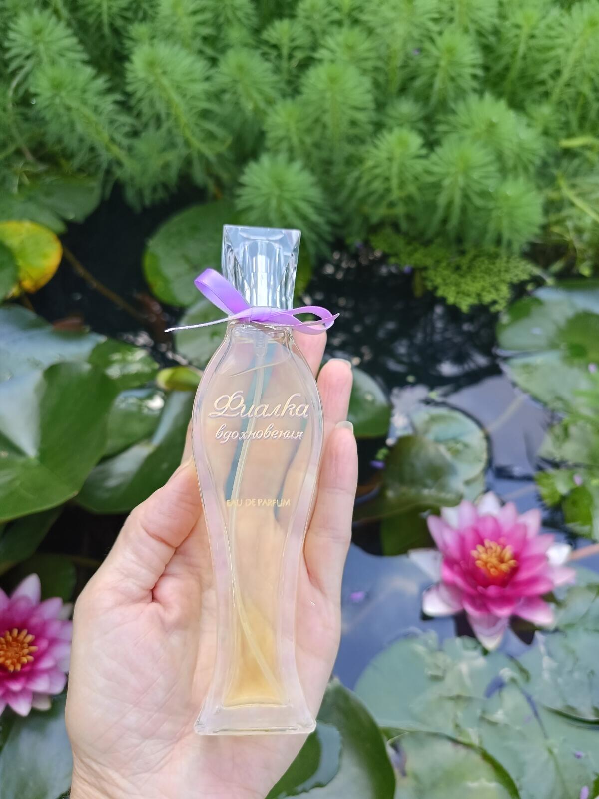 Фиалка вдохновения Новая Заря (The New Dawn) Parfum - ein neues Parfum ...