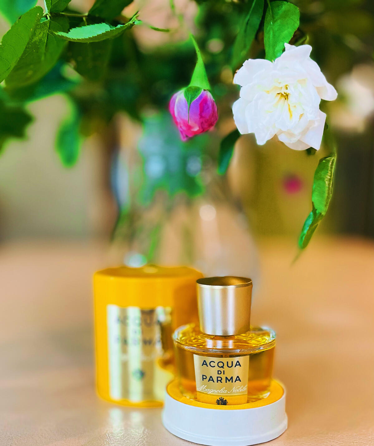 Acqua di Parma Magnolia Nobile Acqua di Parma аромат — аромат для ...