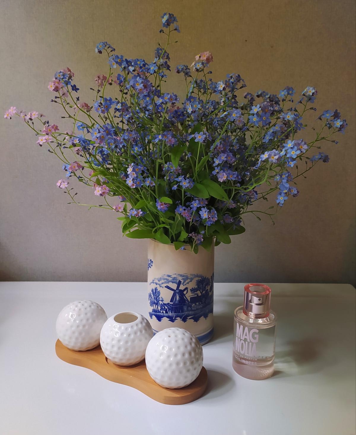 Magnolia Solinotes parfém a vůně pro ženy 2019