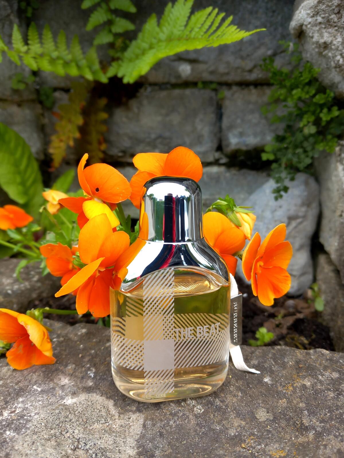 The Beat Burberry parfum un parfum pour femme 2008