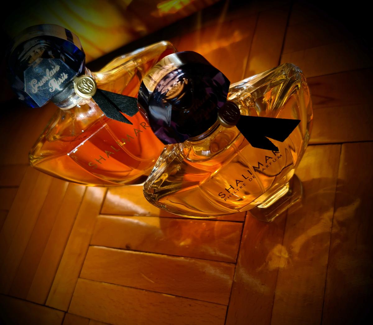 shalimar philtre