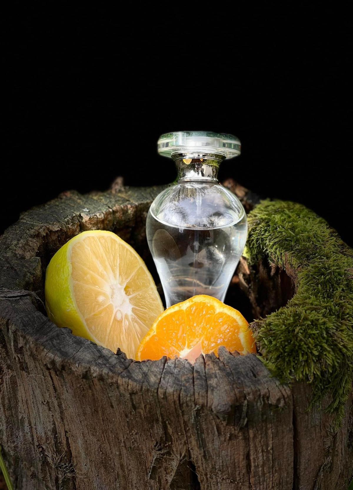 Gin Fizz Lubin Parfum ein es Parfum für Frauen 2009