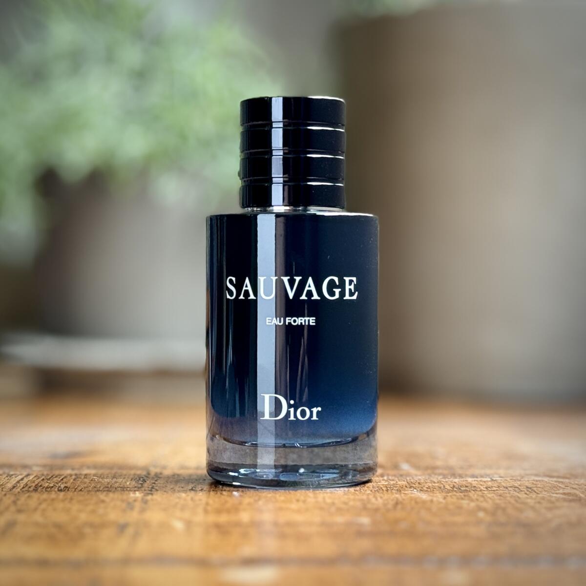 Sauvage Eau Forte Dior ماء كولونيا a جديد fragrance للرجال 2024
