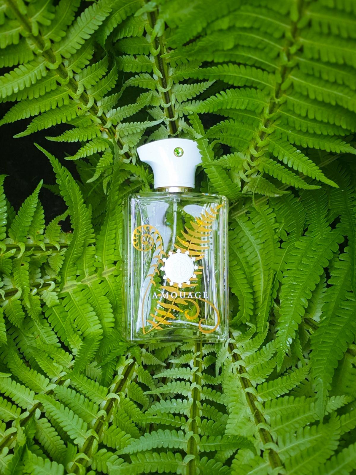 Bracken Man Amouage Cologne - ein es Parfum für Männer 2016