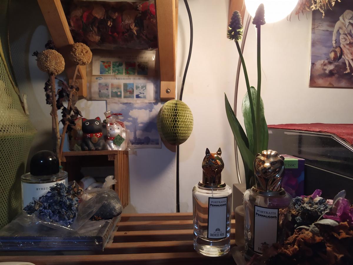 The Coveted Duchess Rose Penhaligon's parfém a vůně pro ženy 2016