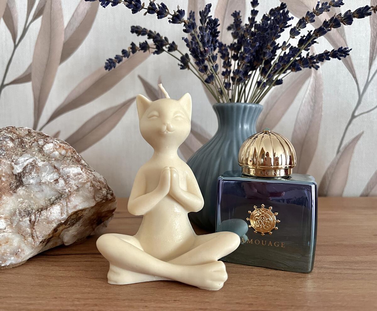 Figment Woman Amouage parfem - parfem za žene 2017