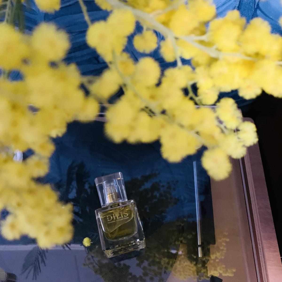 Dilis Classic Collection No. 37 Dilís Parfum аромат — аромат для женщин ...
