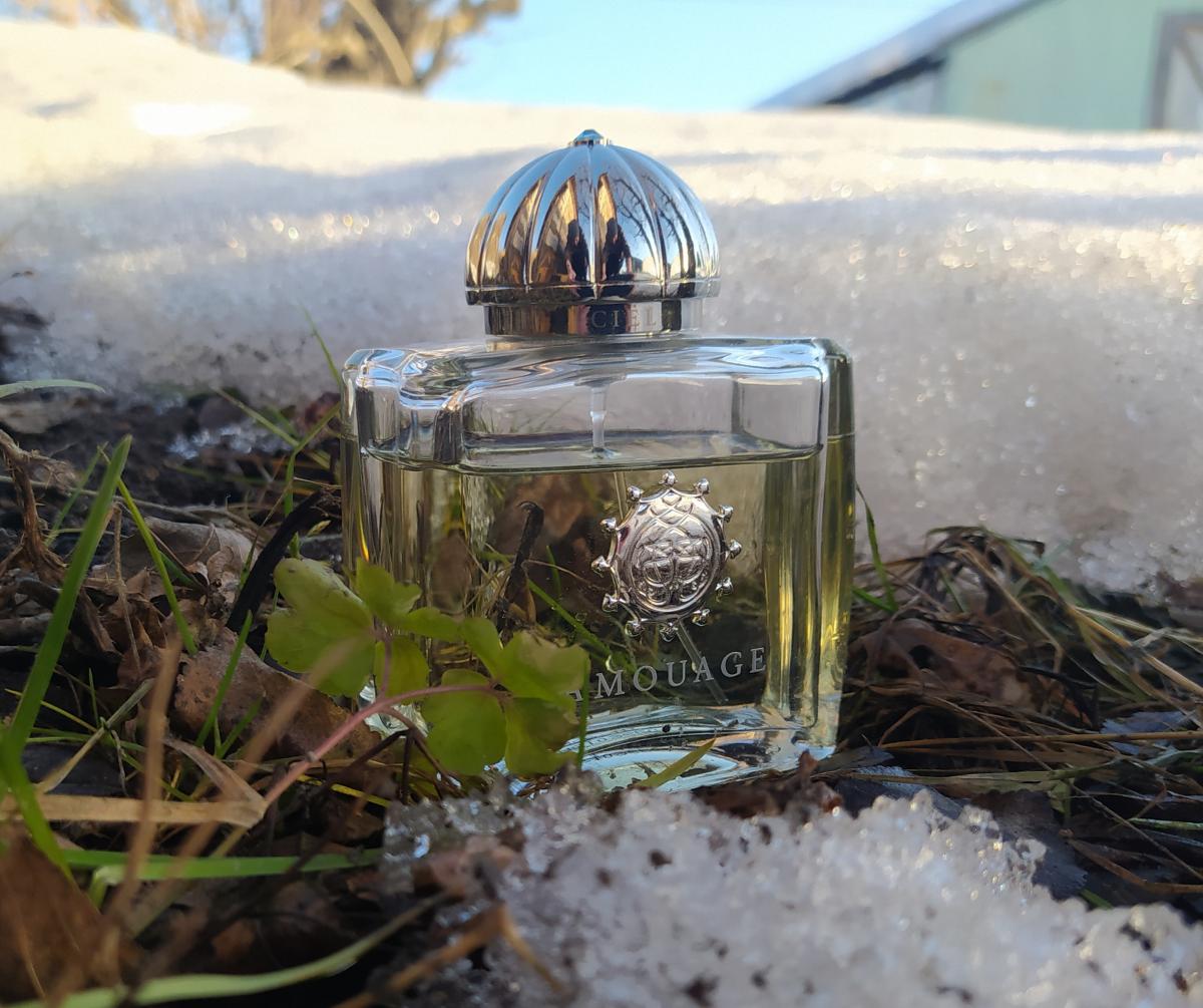 Ciel Pour Femme Amouage parfem - parfem za žene 2003