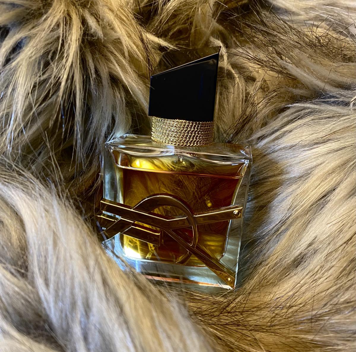 Libre Intense Yves Saint Laurent Parfum - ein es Parfum für Frauen 2020
