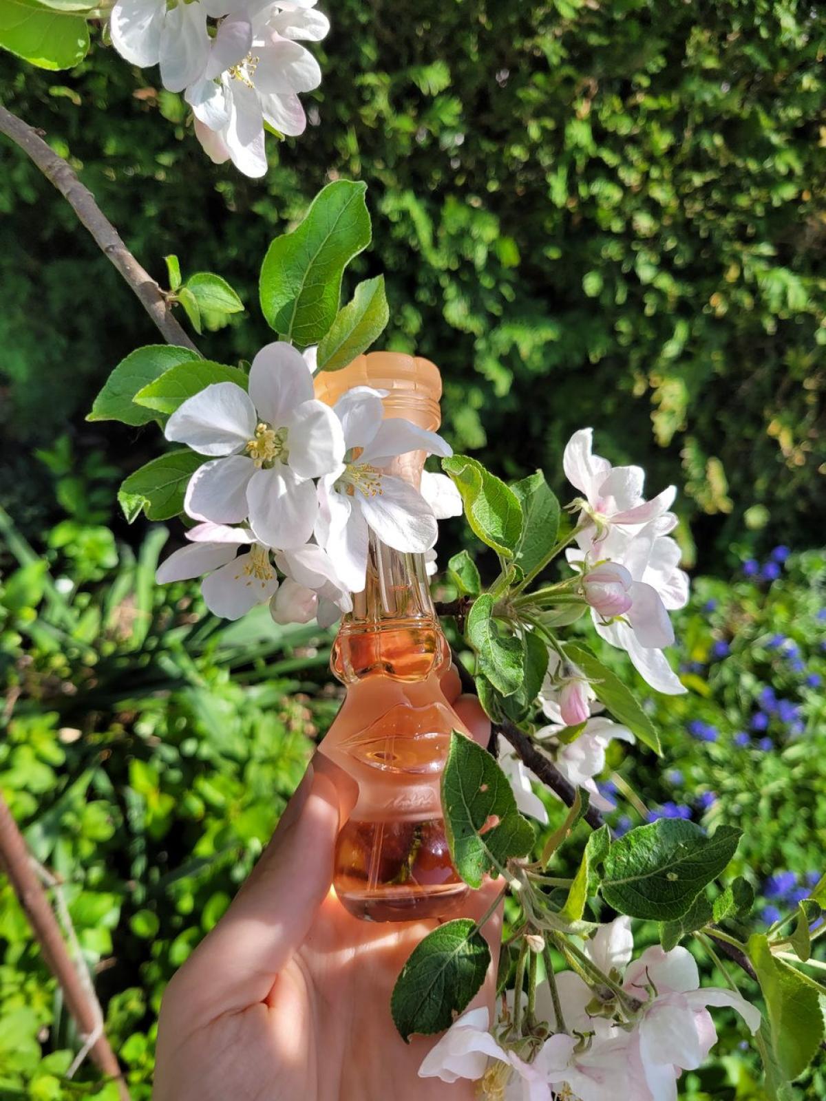 Dalissime Salvador Dali άρωμα - ένα άρωμα για γυναίκες 1994