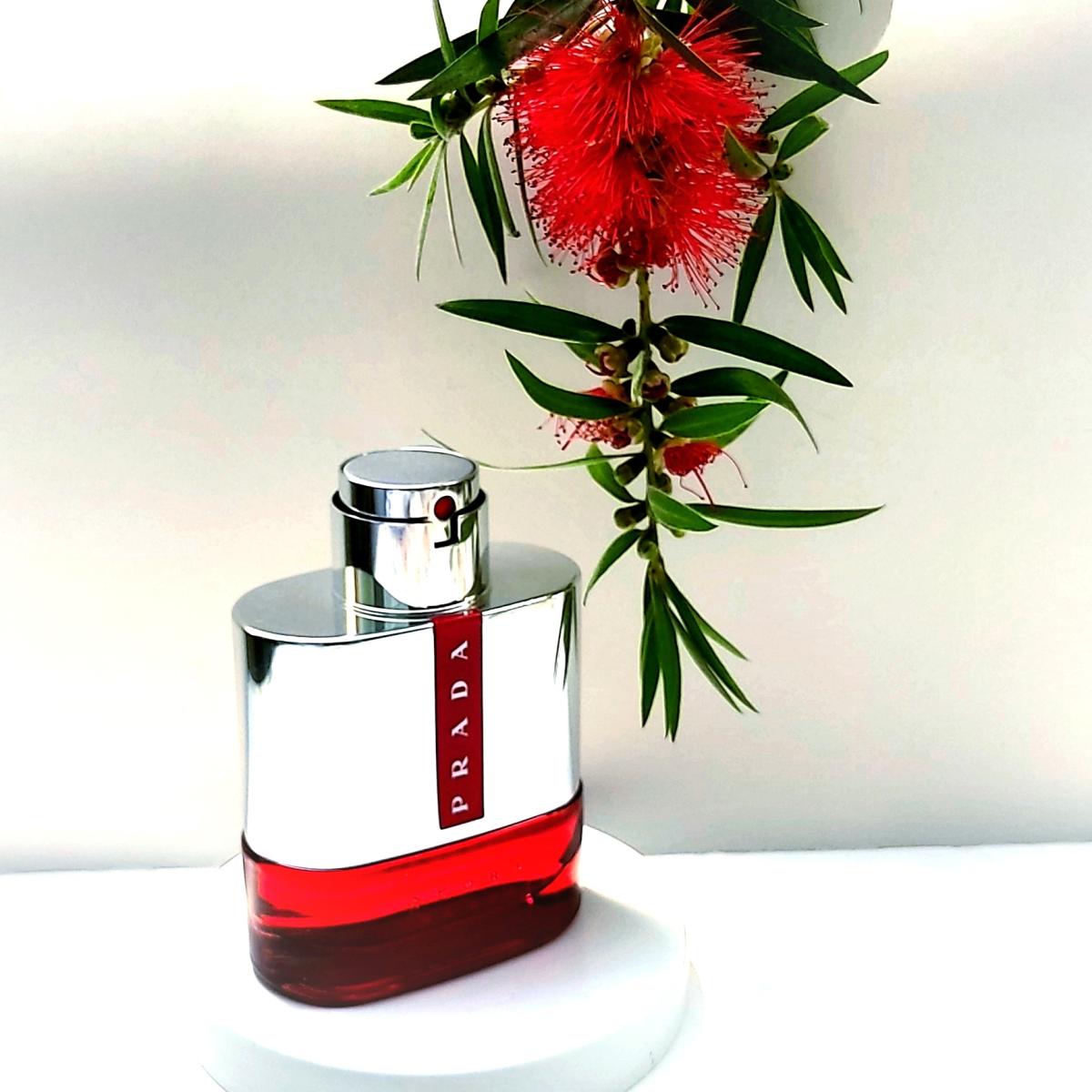 parfum homme prada luna rossa