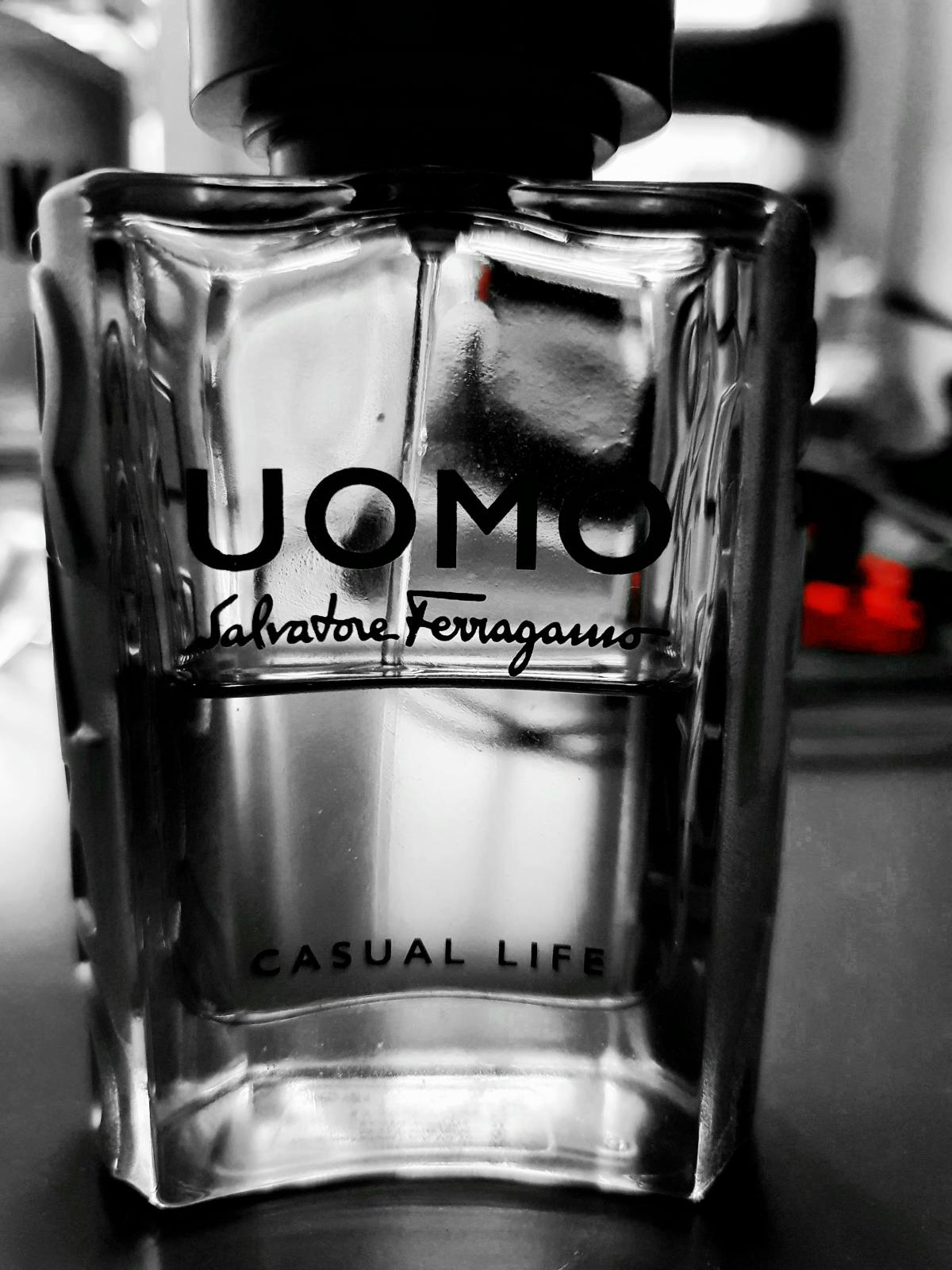 Uomo Salvatore Ferragamo Casual Life Salvatore Ferragamo Cologne - ein ...
