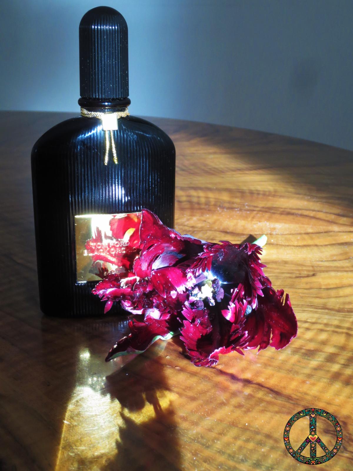 Black Orchid Tom Ford Parfum - ein es Parfum für Frauen 2006