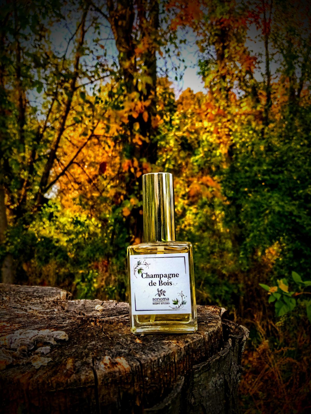 Champagne de Bois Sonoma Scent Studio 香水 一款 2008年 中性 香水