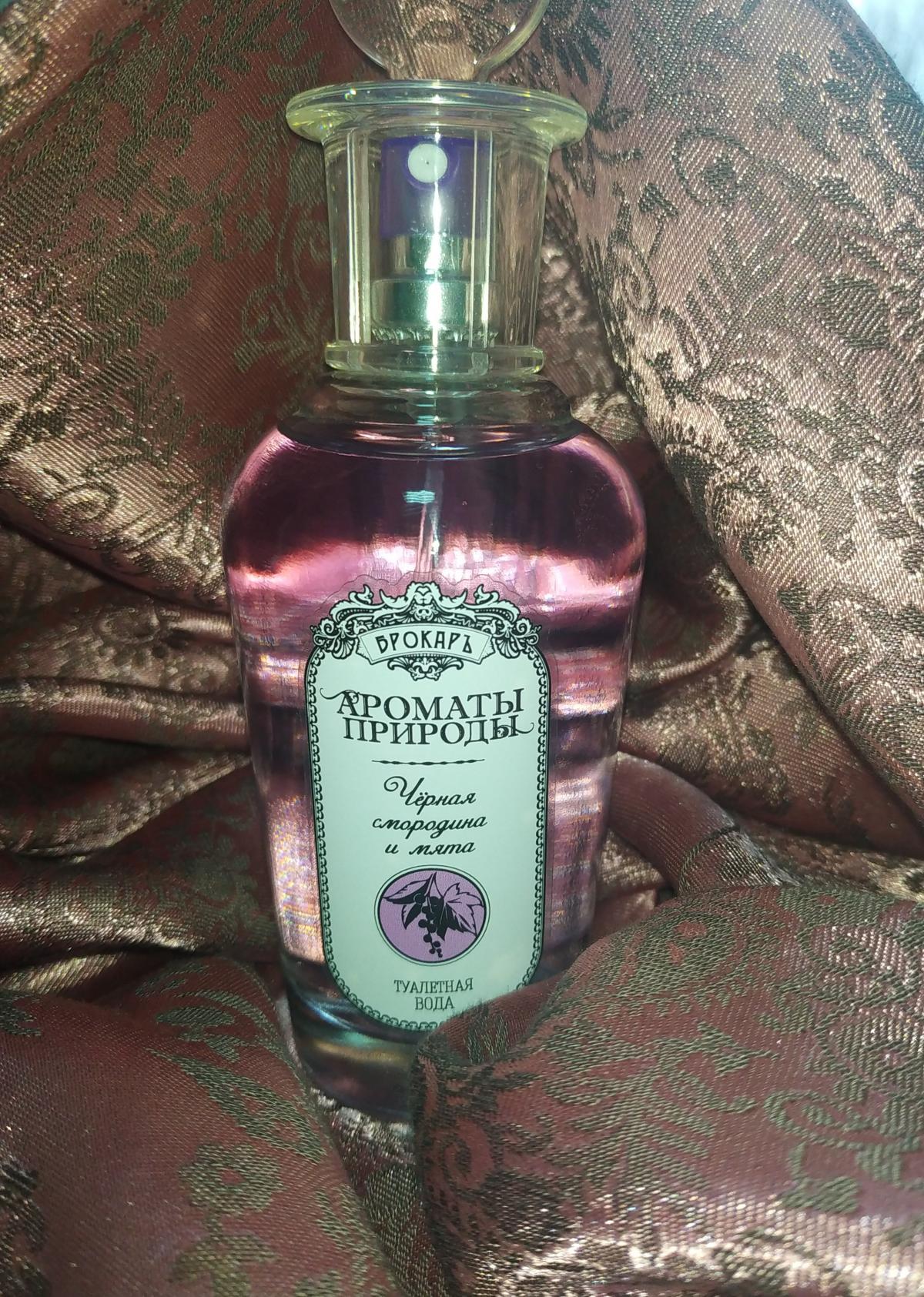 Черная смородина и мята - Black currant and Mint Brocard аромат ...