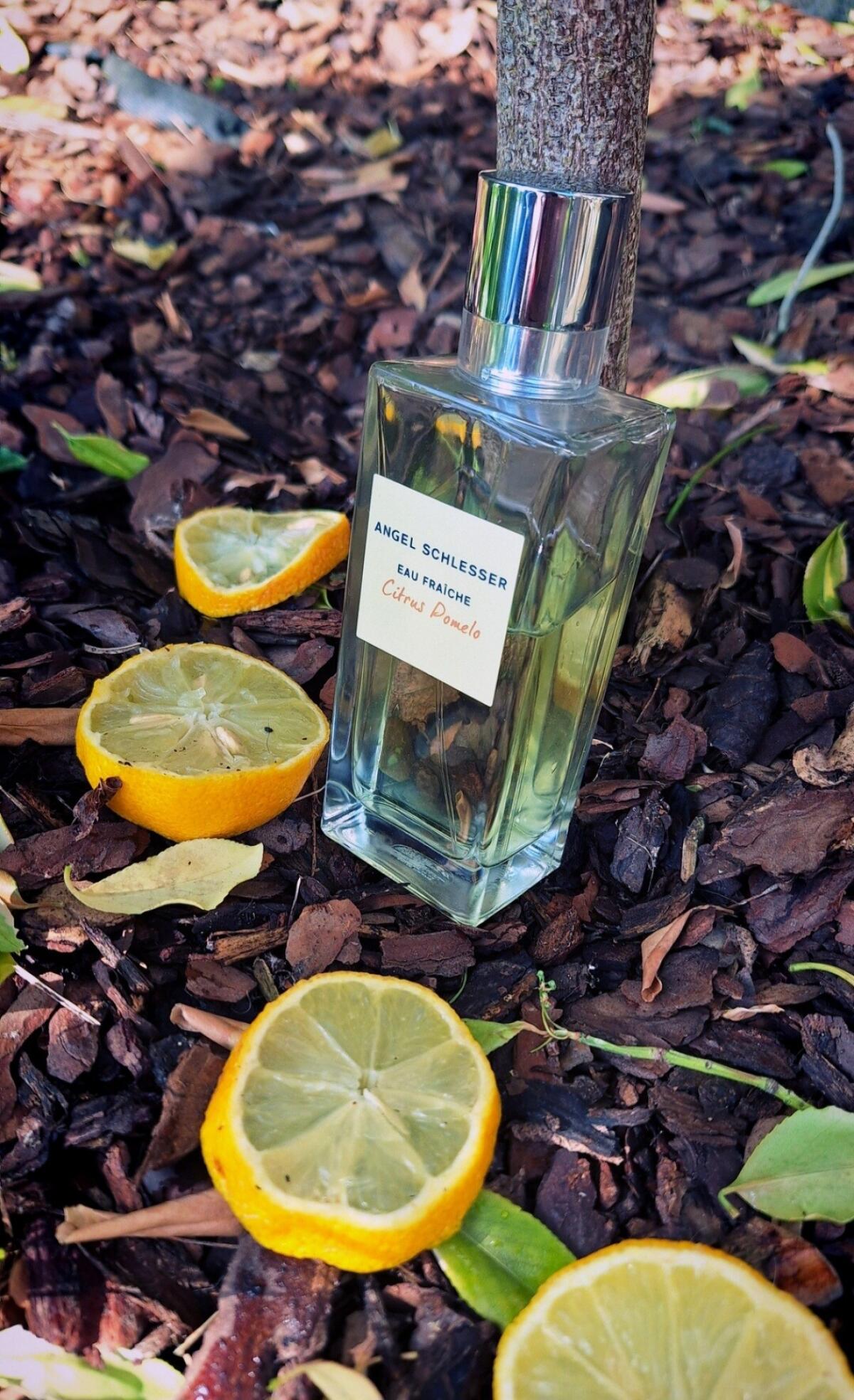 Eau Fraîche Citrus Pomelo Angel Schlesser parfum un parfum pour femme 2019