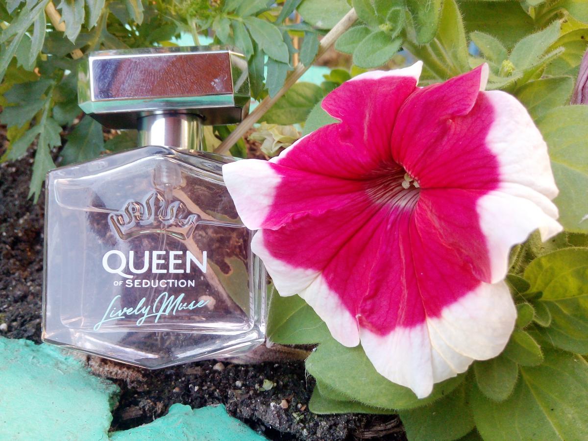 Queen Of Seduction Духи Женские Цена