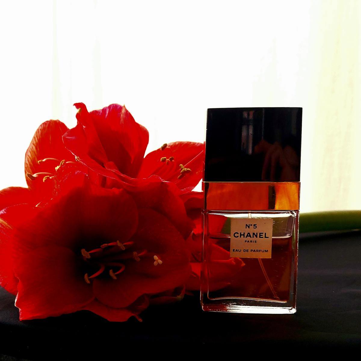 Chanel No 5 Eau De Parfum Chanel Parfum Un Parfum Pour Femme 1986