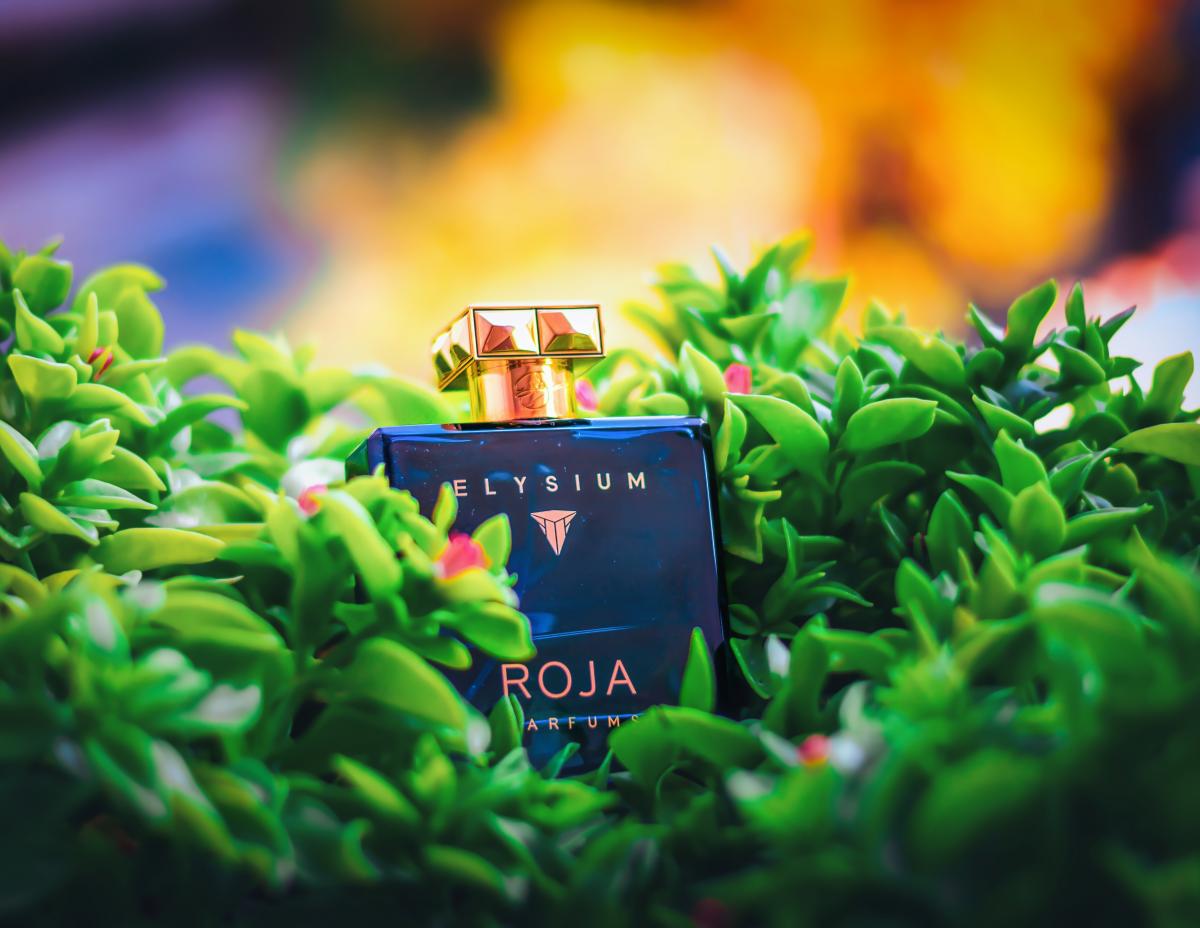 Elysium Pour Homme Parfum Cologne Roja Dove Cologne - ein es Parfum für ...