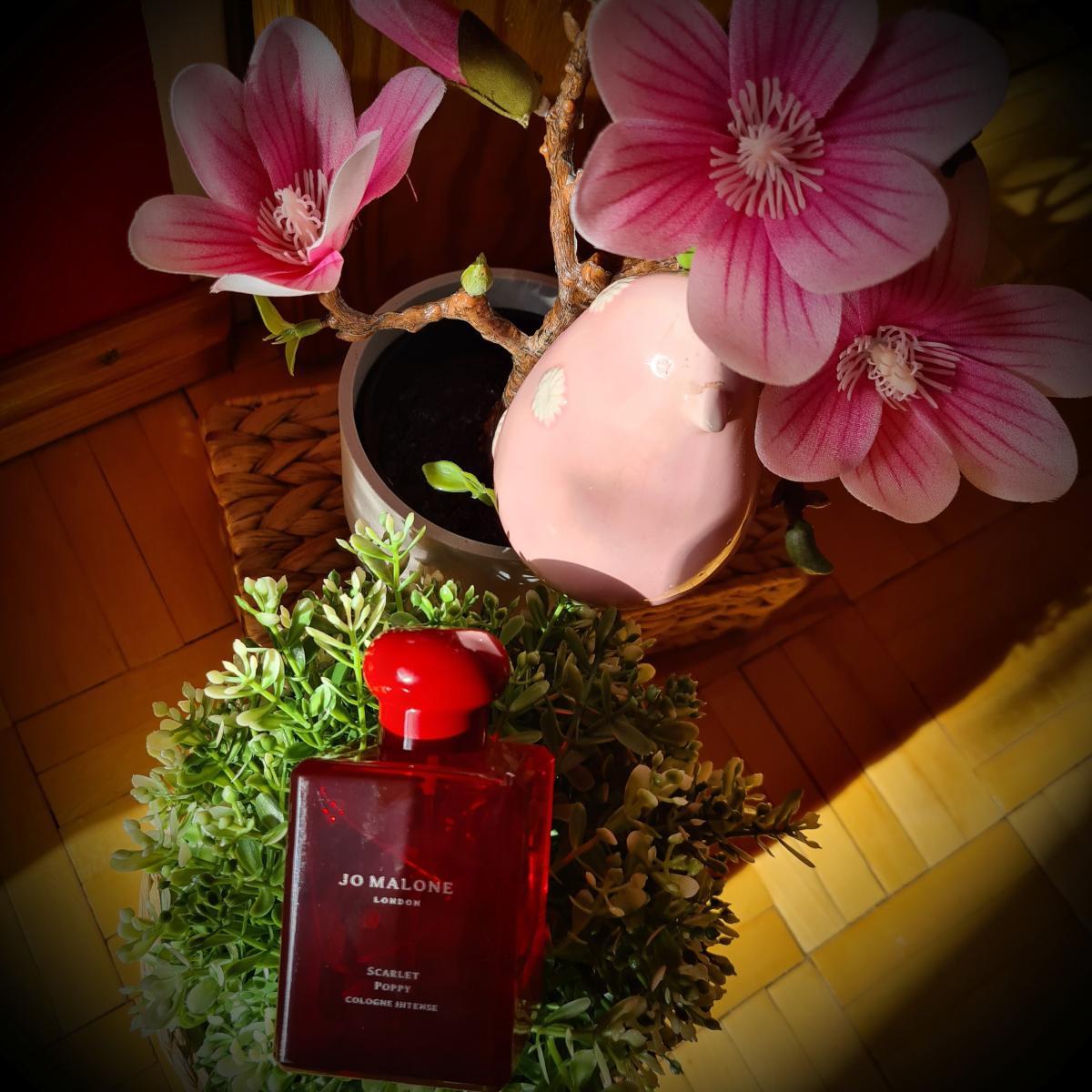 Скарлет поппи. Jo Malone Scarlett Poppy. Jo Malone London Scarlet Poppy. Джо Малон Скарлет Поппи. Духи Jo Malone Scarlett Поппи.