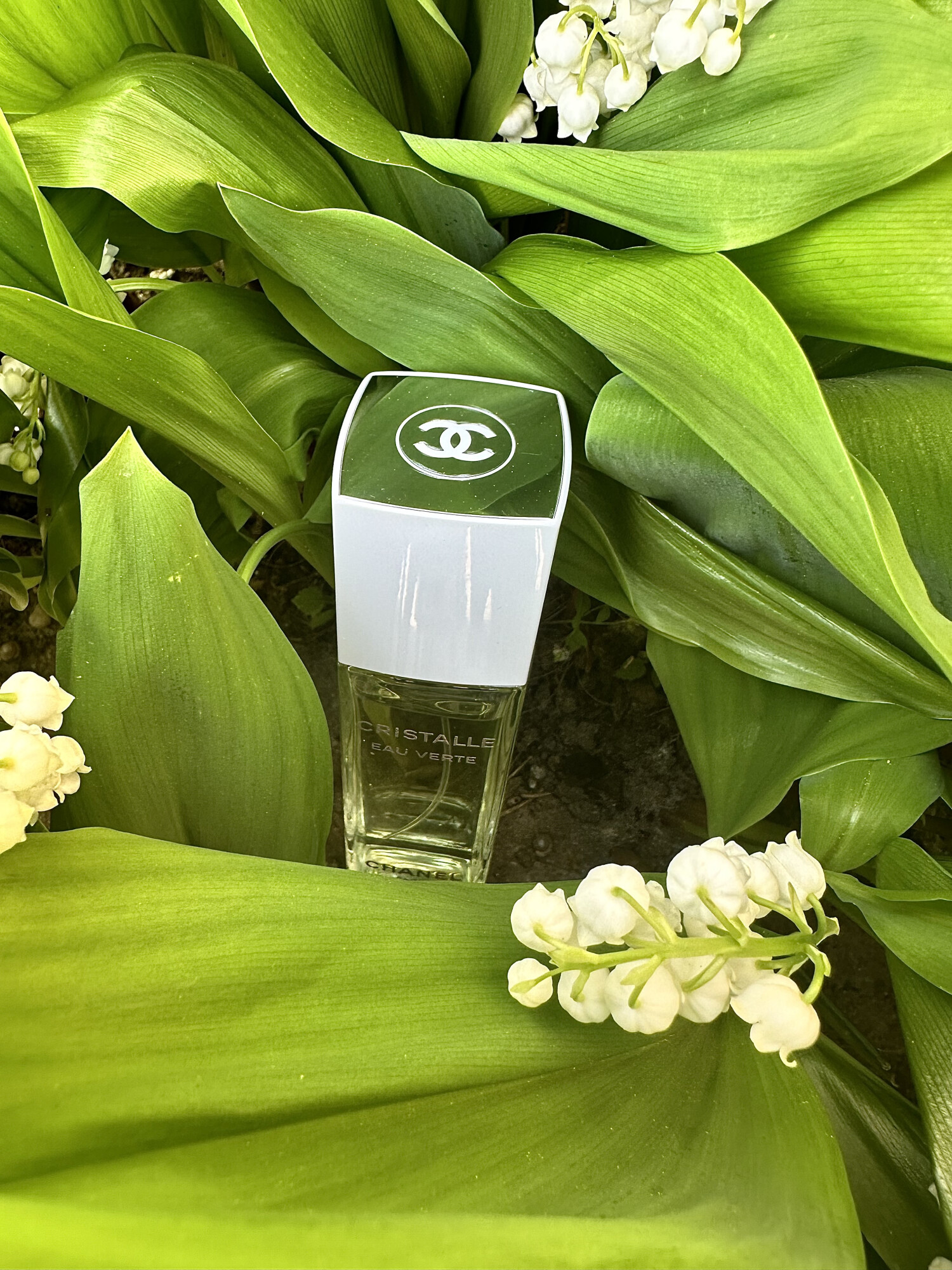 Cristalle Eau Verte Eau De Parfum Chanel Perfumy To Nowe Perfumy Dla 