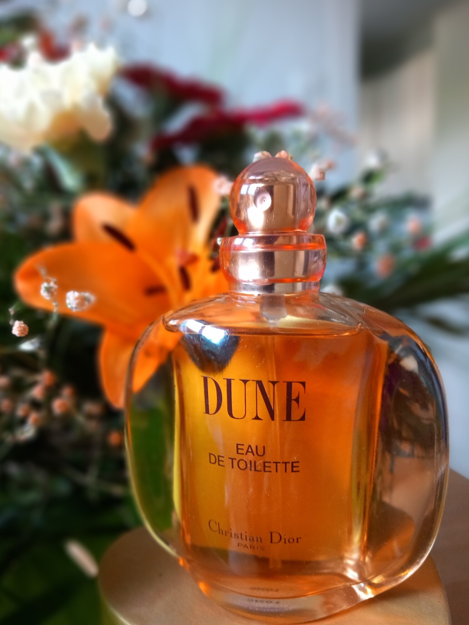 dune dior primor
