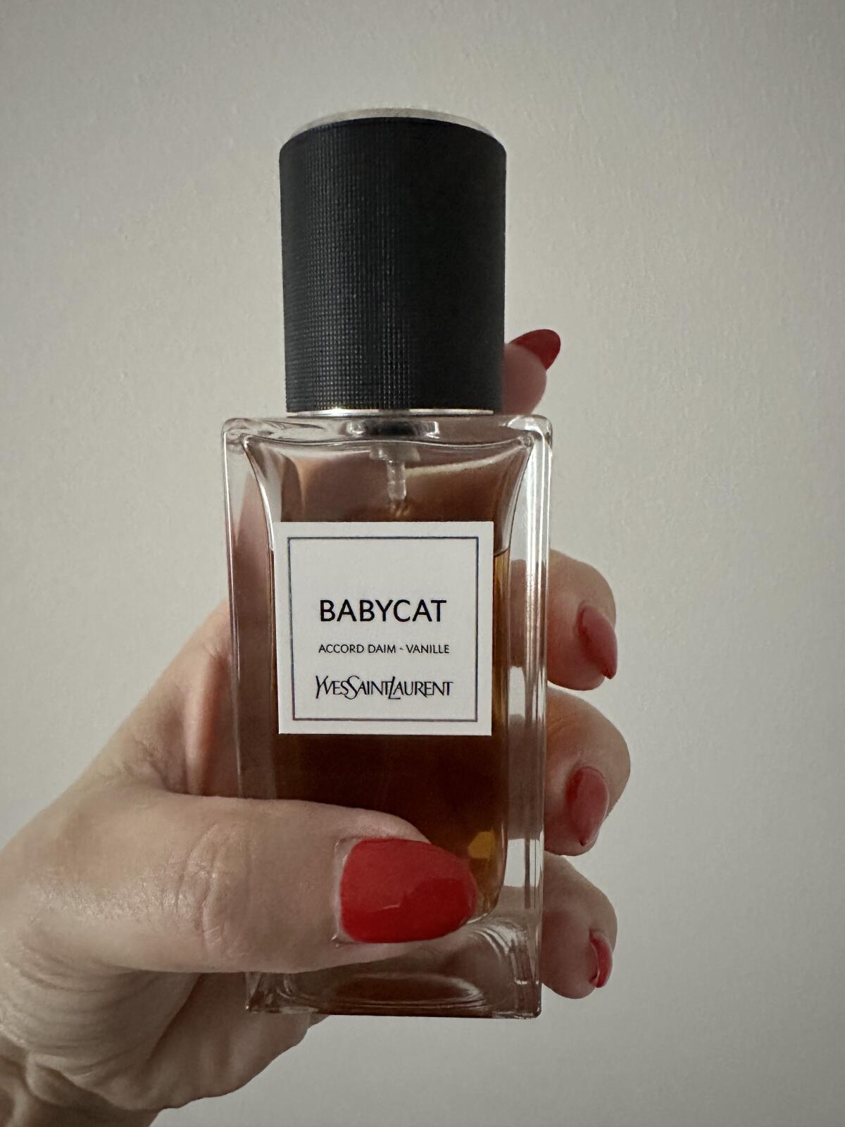 Babycat Yves Saint Laurent Parfum ein neues Parfum für Frauen und Männer 2022