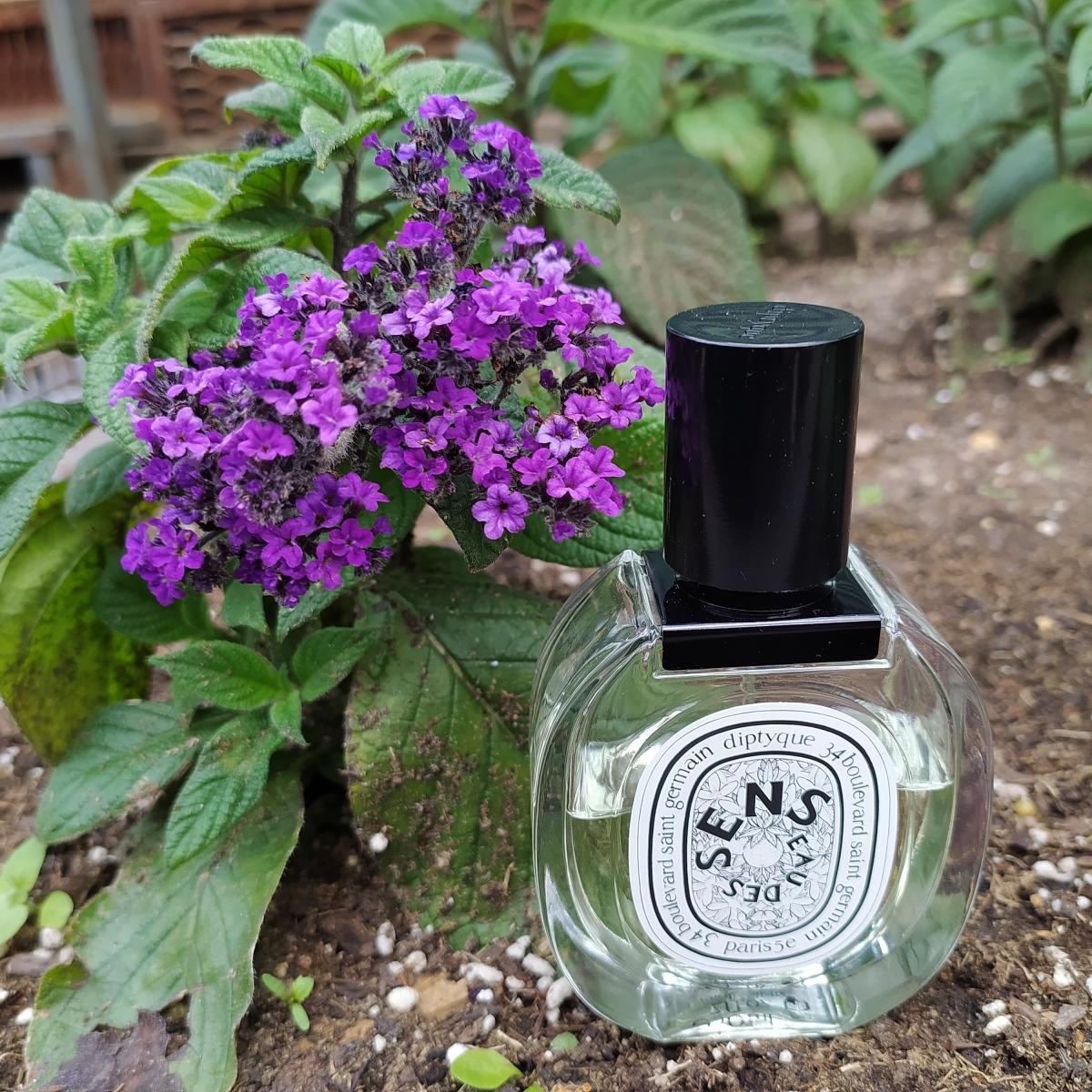 Eau des Sens Eau de Toilette Diptyque Parfum ein es Parfum für Frauen und Männer 2016