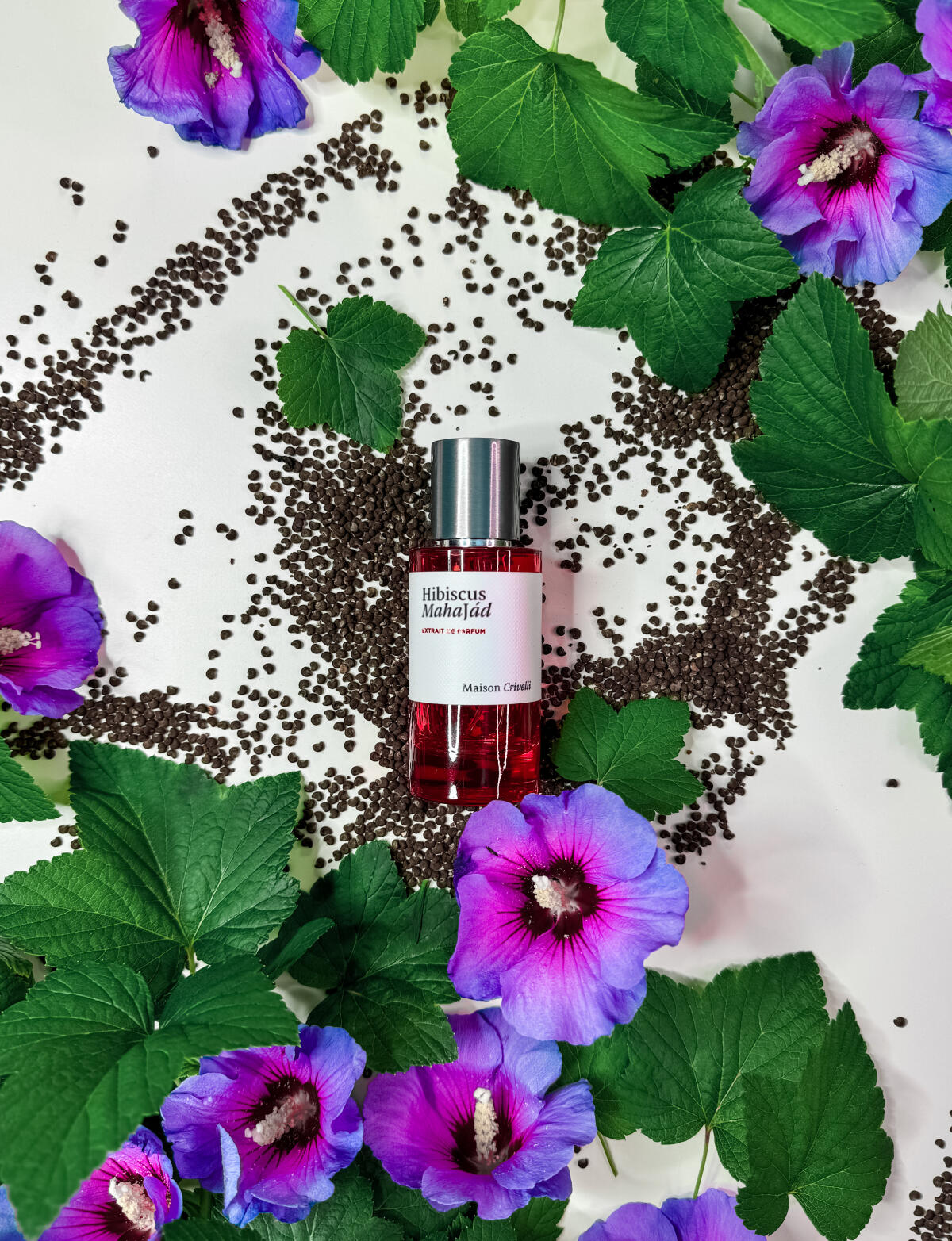 Hibiscus Mahajád Maison Crivelli una fragranza unisex 2021