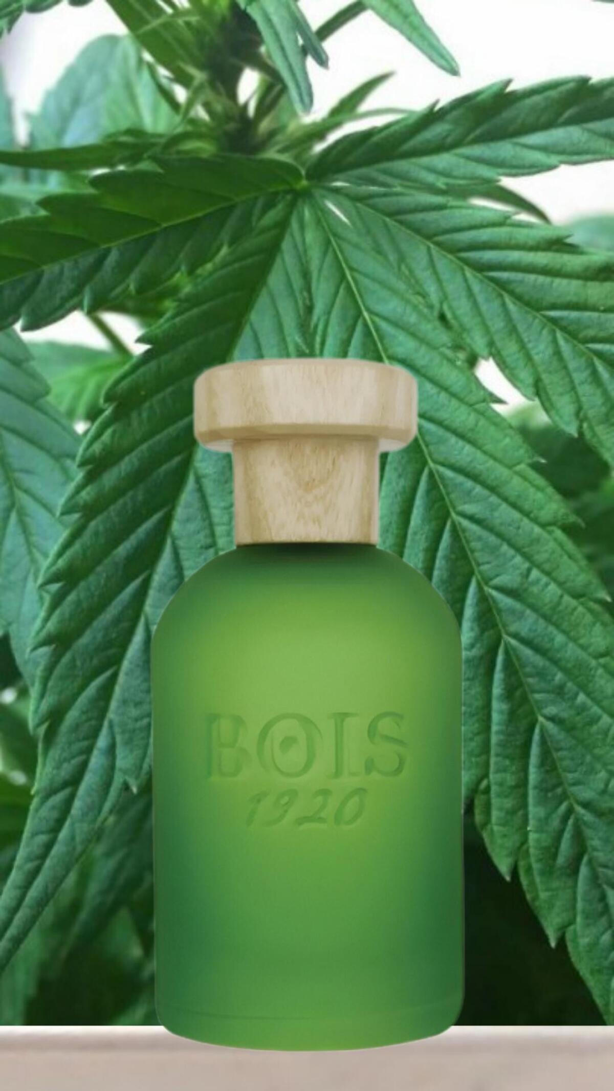 Cannabis Bois 1920 - una fragranza unisex 2019
