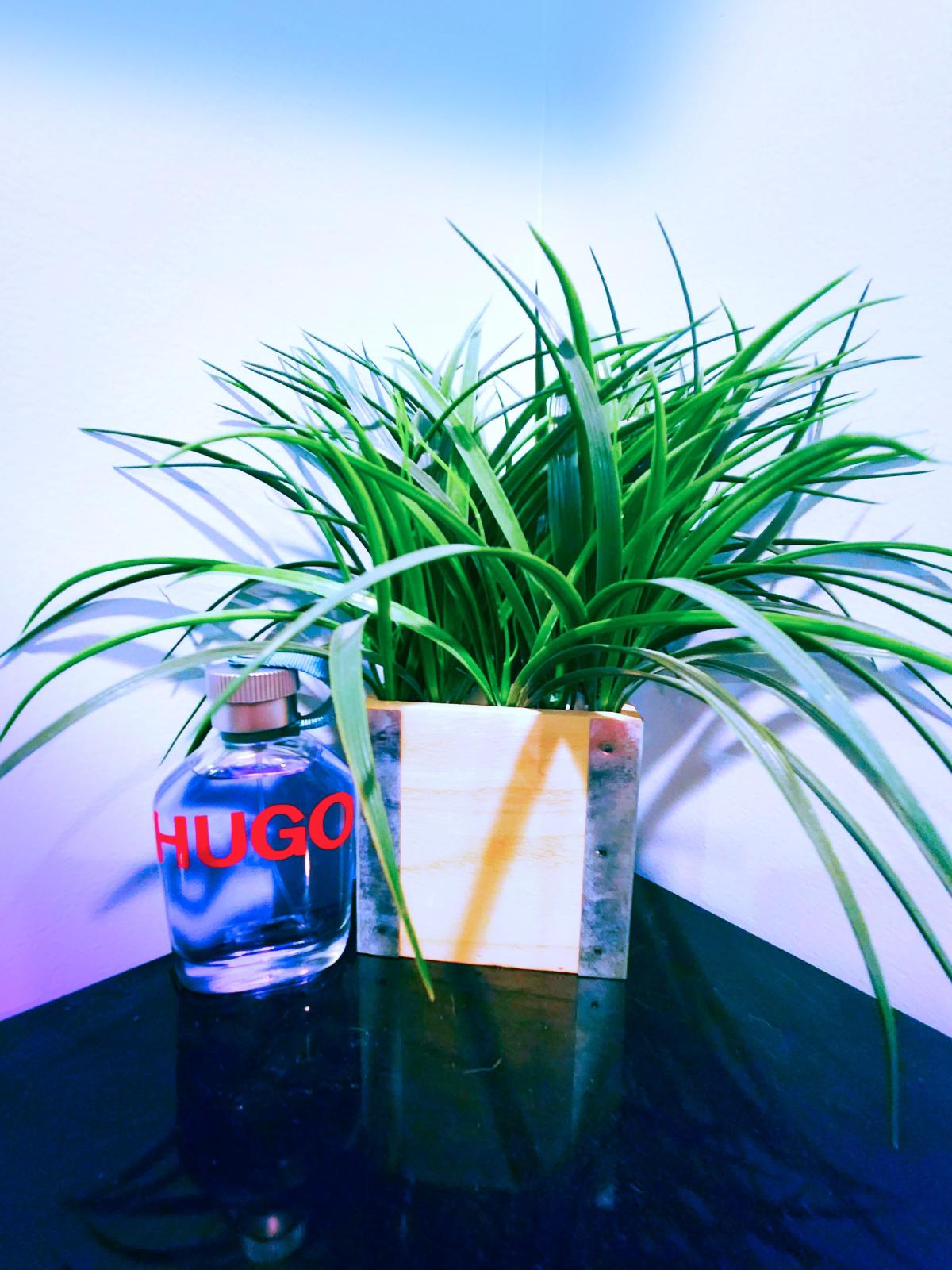 Hugo Man Hugo Boss Cologne ein neues Parfum für Männer 2021