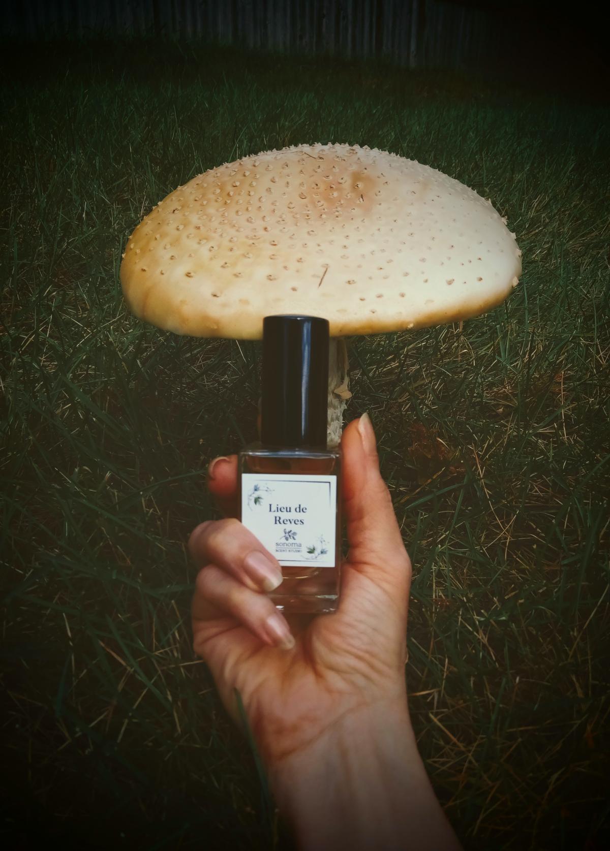 Lieu de Reves Sonoma Scent Studio perfumy to perfumy dla kobiet 2009