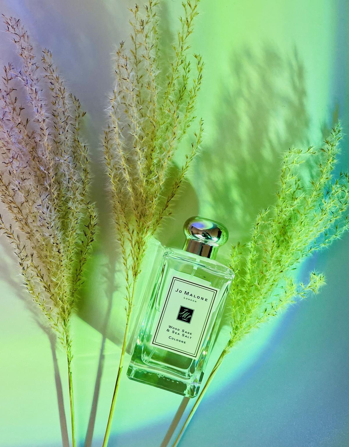 Jo malone sage sea salt. Джо Малон морская соль духи. Jo Malone Wood Sage & Sea Salt 100мл. Джо Малон Sea Salt and Wood. Jo Malone Wood Sage 100 мл.