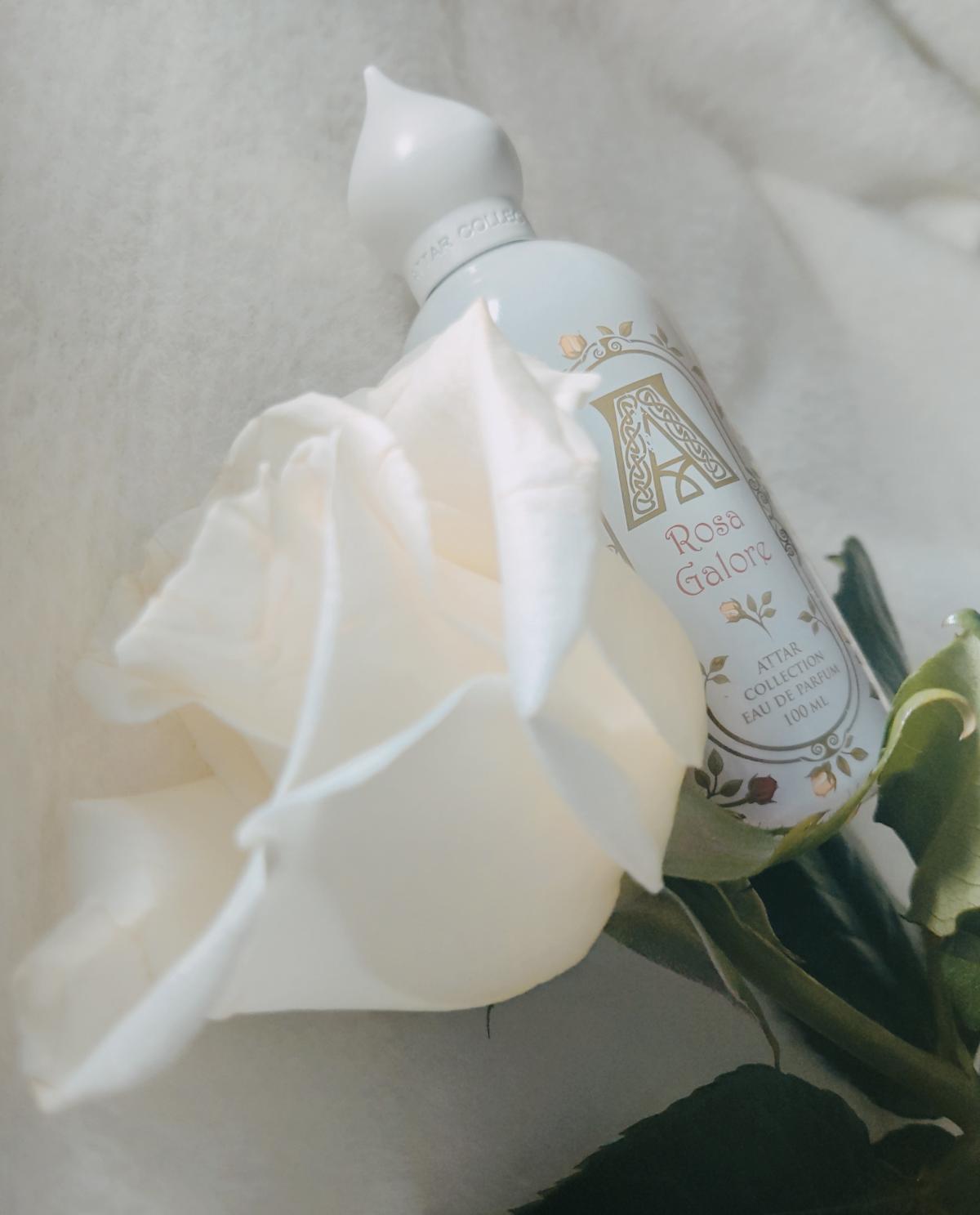Rosa Galore Attar Collection - una fragranza da donna 2019