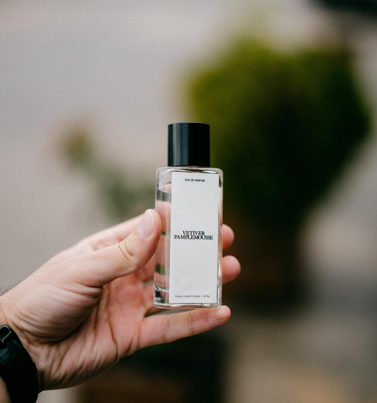 Vetiver Pamplemousse Zara аромат — аромат для мужчин и женщин 2019