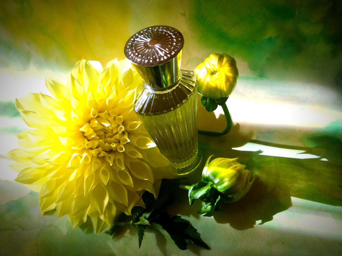 Ashoka Neela Vermeire Creations parfum un parfum pour homme et femme 2013