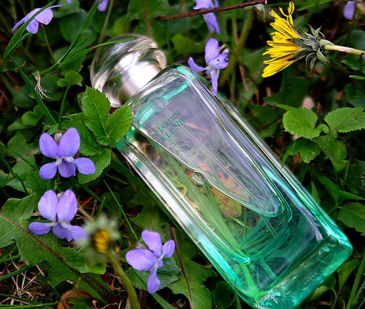 hermès parfum un jardin sur le nil
