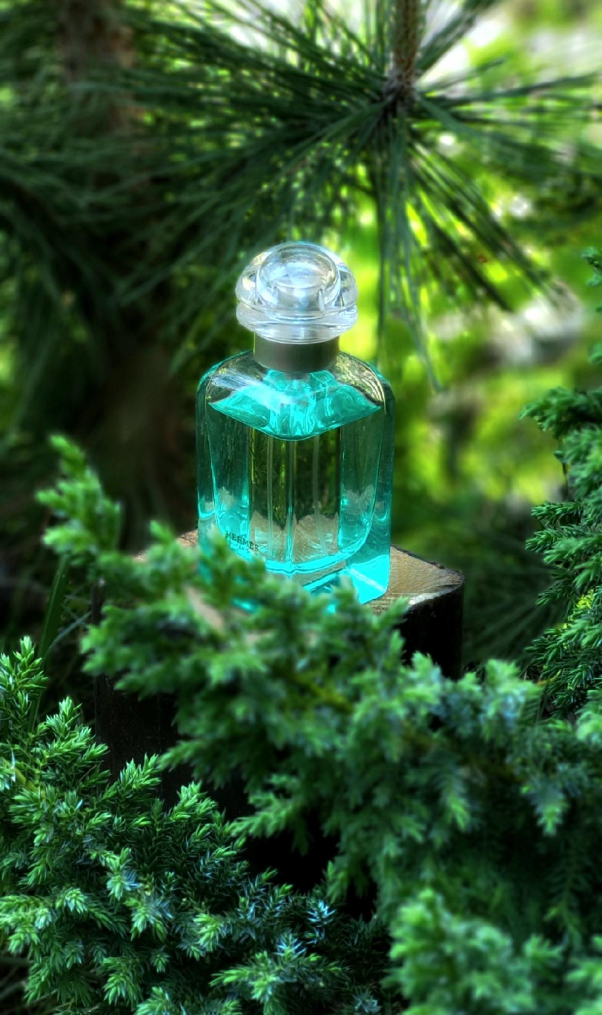 hermès parfum un jardin sur le nil