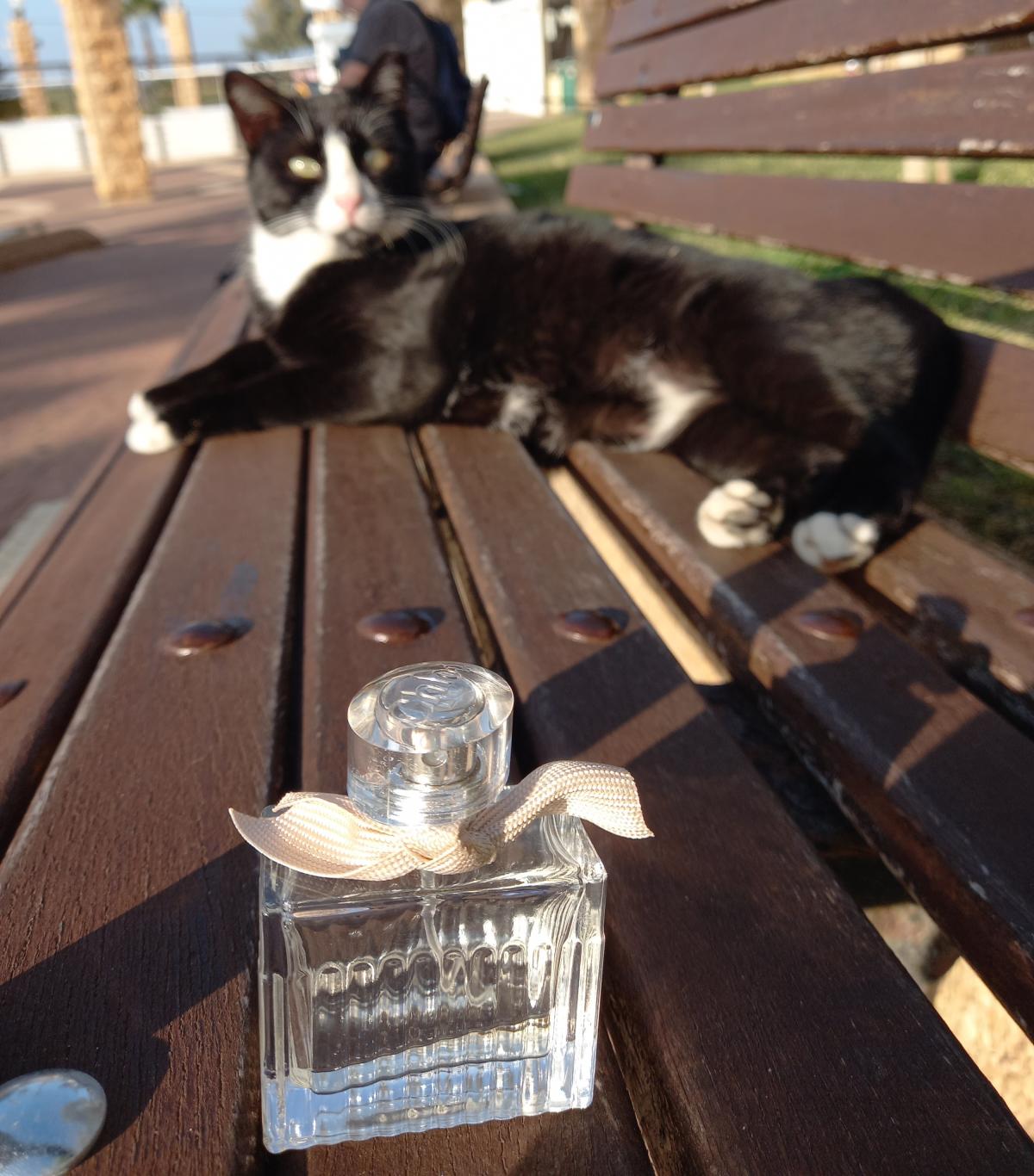 Chloe Eau de Parfum Chloé Parfum - ein es Parfum für Frauen 2008