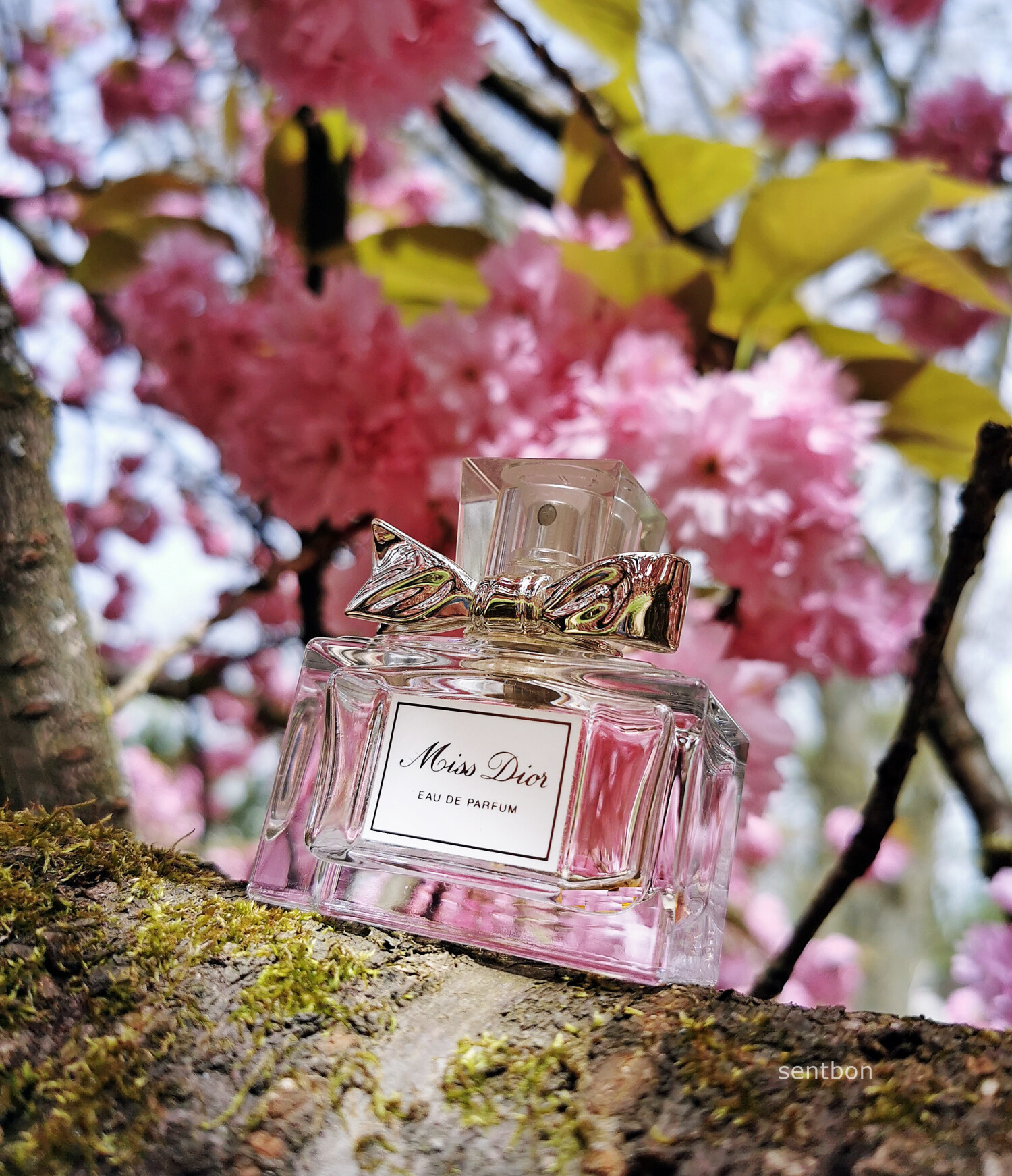 Miss Dior (new) Dior fragancia - una fragancia para Mujeres 2012