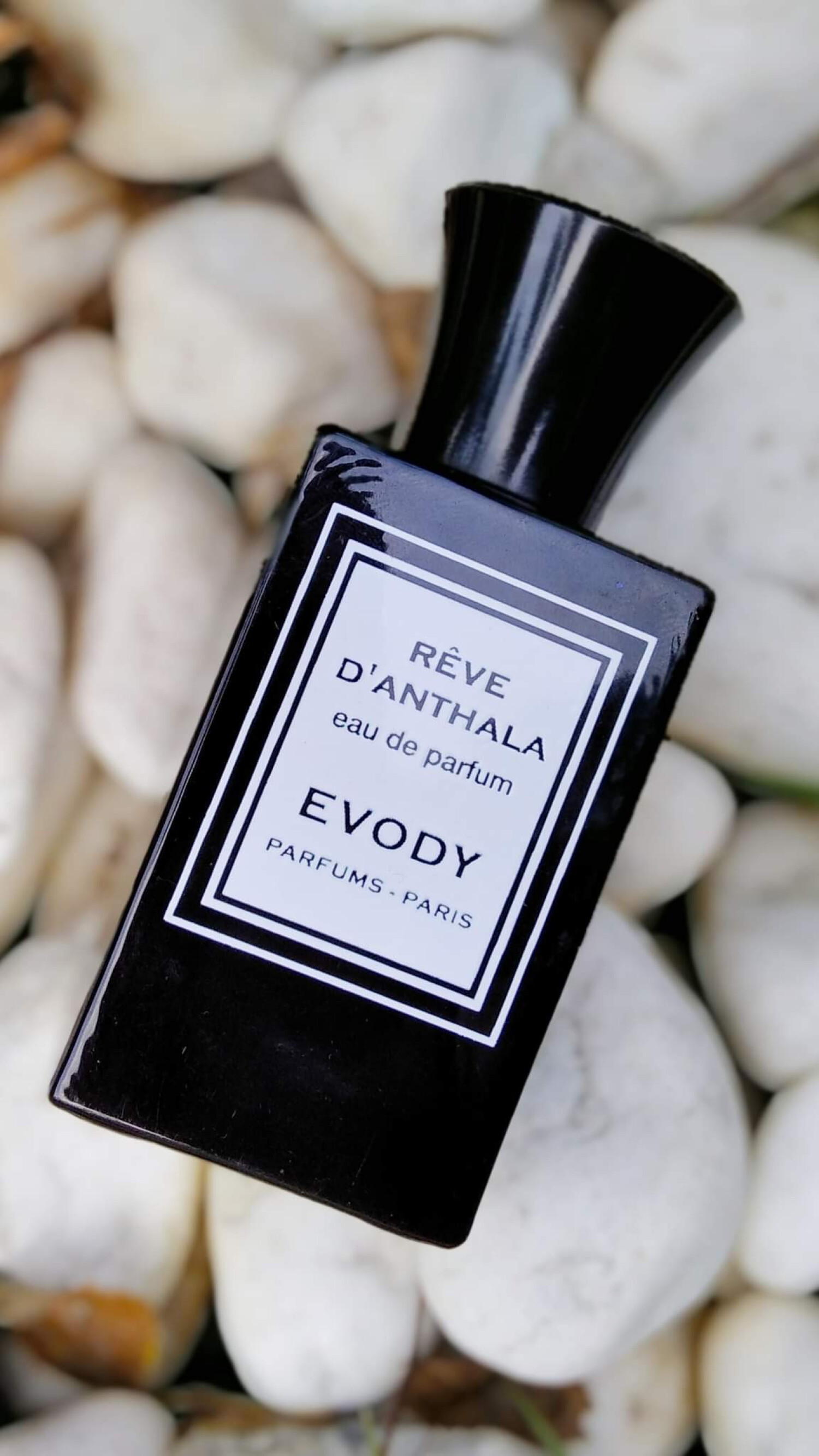 Reve d'Anthala Evody Parfums parfum - un parfum pour femme 2008