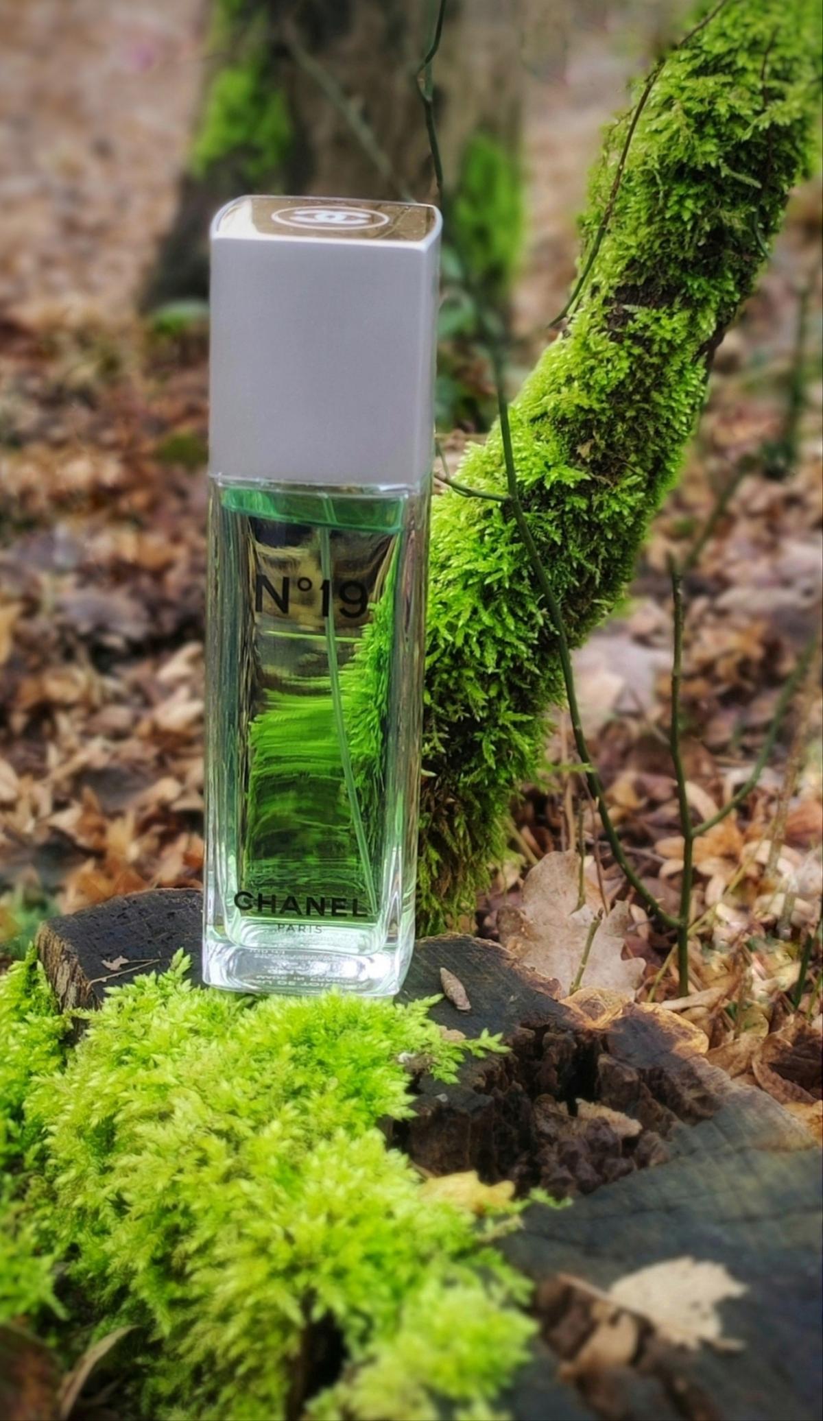 Chanel N 19 Eau De Toilette 2023 Chanel 2023 bleu-de-chanel-parfum-original-homecare24