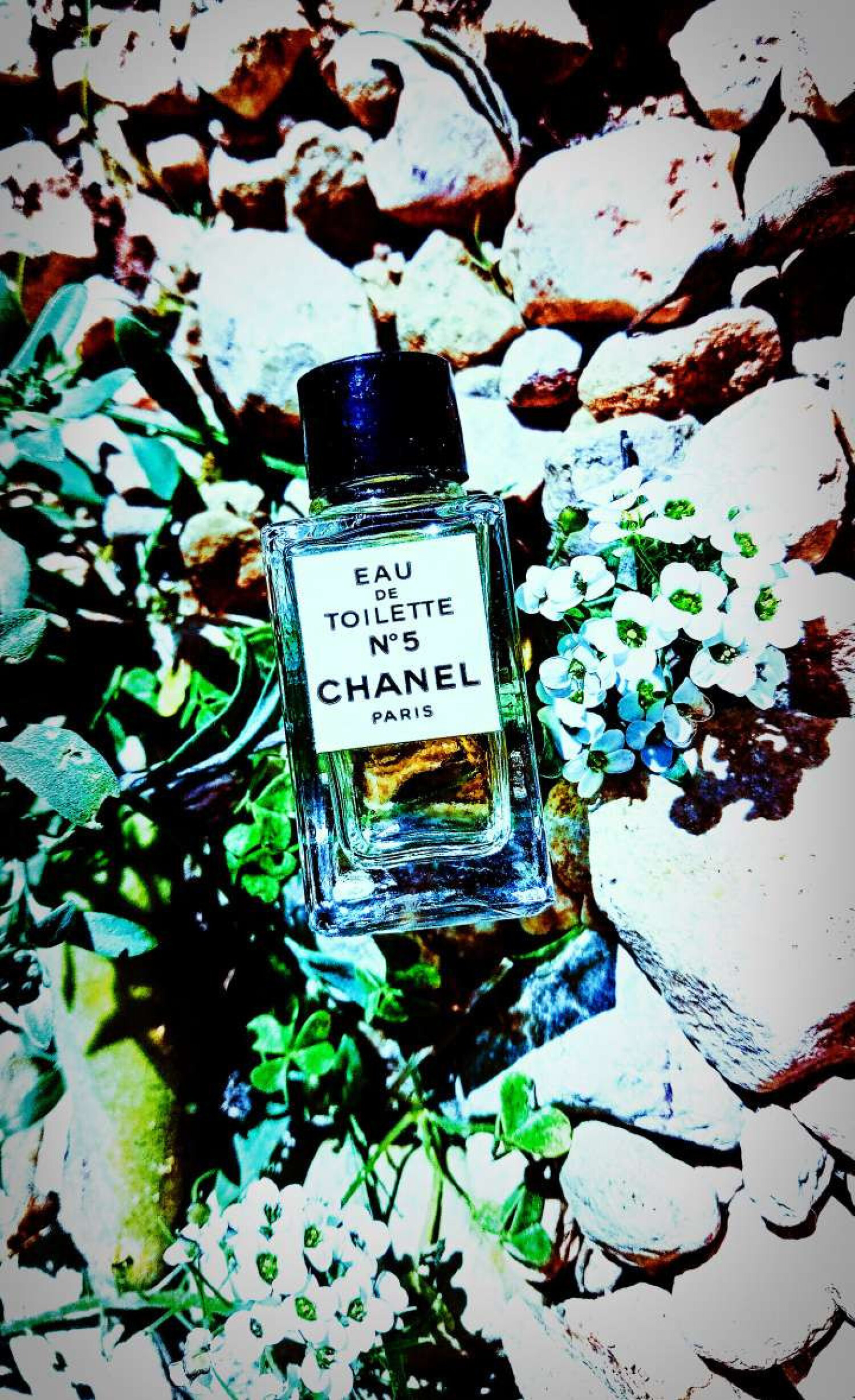 Women's Perfume Nº 5 Chanel EDT main image 0