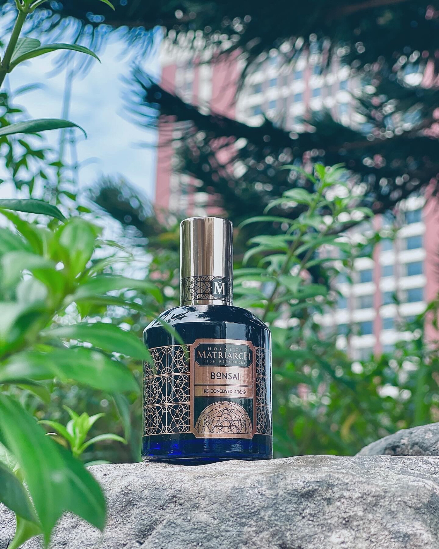 Bonsai House of Matriarch fragancia una fragancia para Hombres y