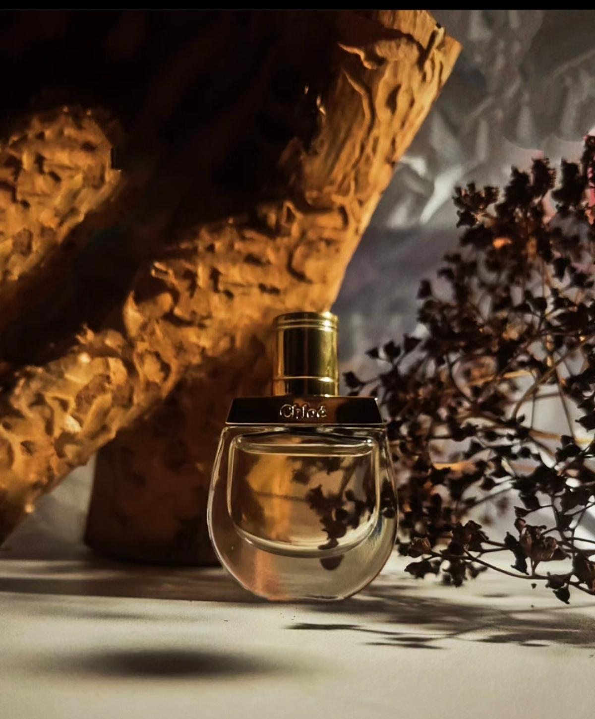 Nomade Jasmin Naturel Intense Chloé Parfum ein neues Parfum für