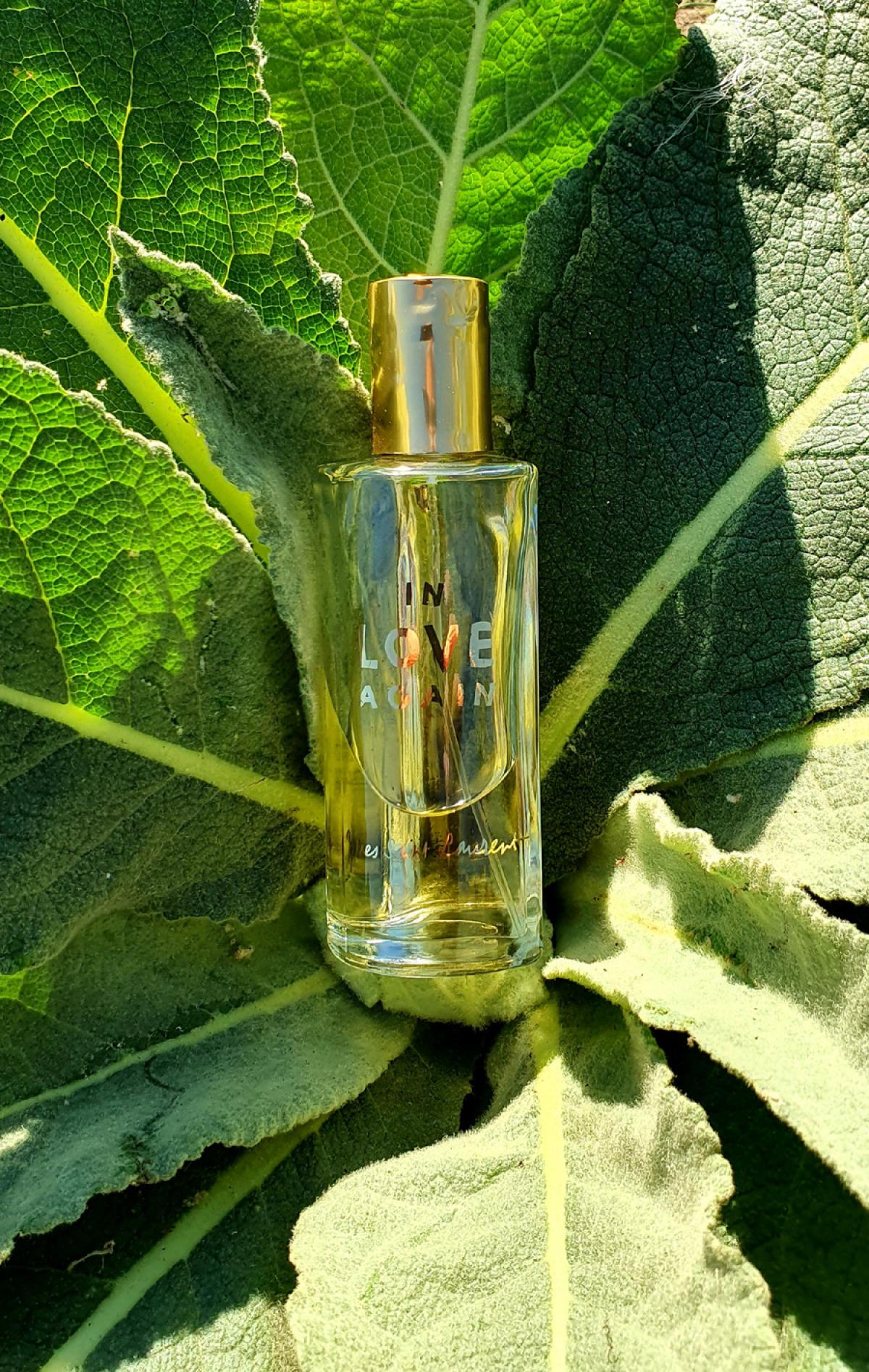 In Love Again Yves Saint Laurent parfum un parfum pour femme 1998