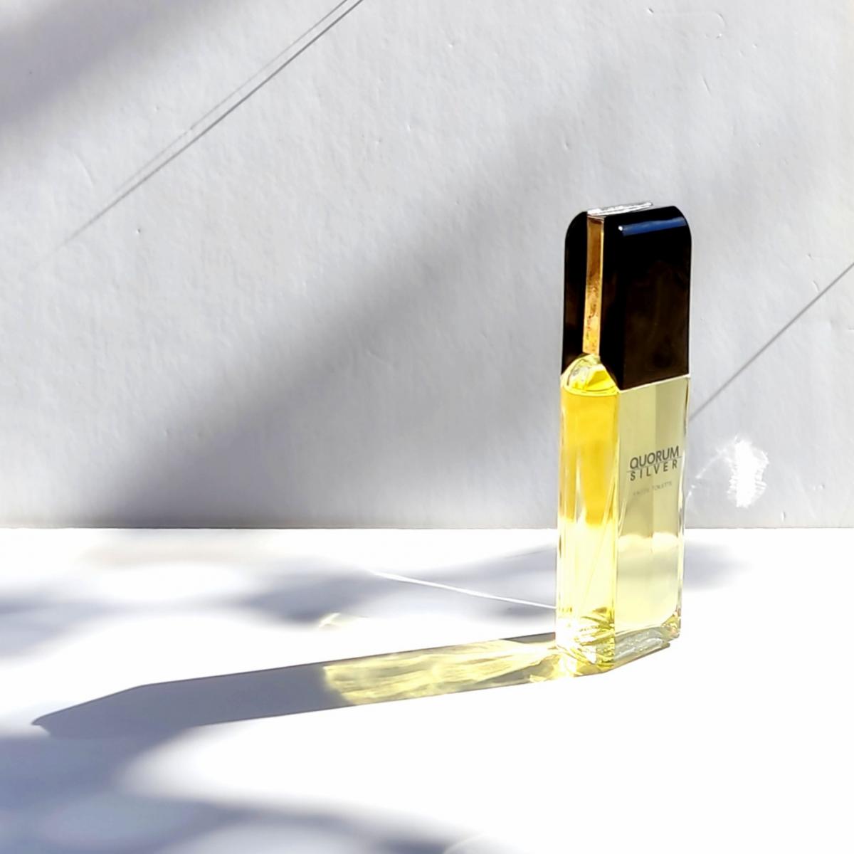 Quorum Silver Antonio Puig Cologne - un parfum pour homme 2005