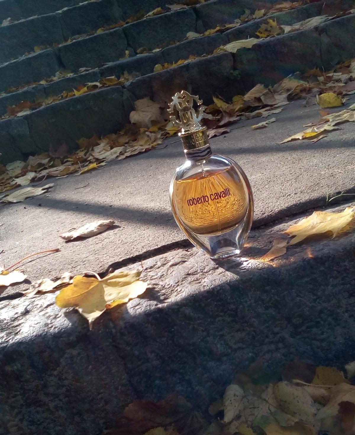 Roberto Cavalli Eau de Parfum Roberto Cavalli аромат — аромат для ...