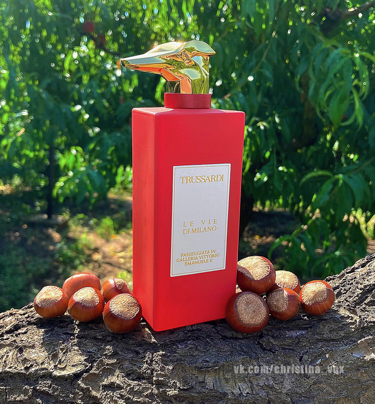 Passeggiata in Galleria Vittorio Emanuele II Eau de Parfum 100ml