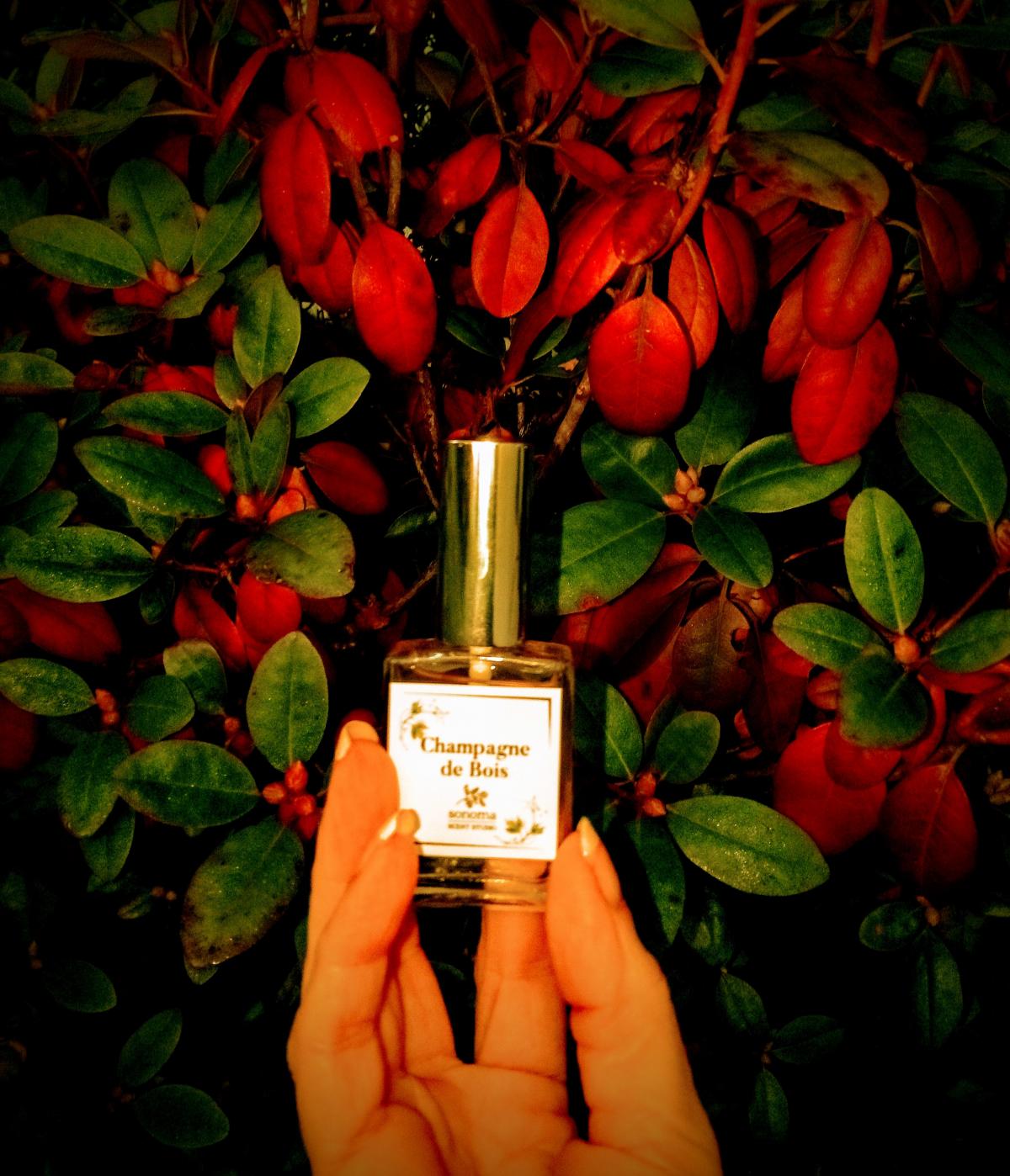 Champagne de Bois Sonoma Scent Studio Parfum ein es Parfum für Frauen